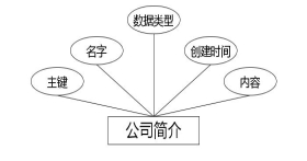 图 4.9 公司简介实体属性图